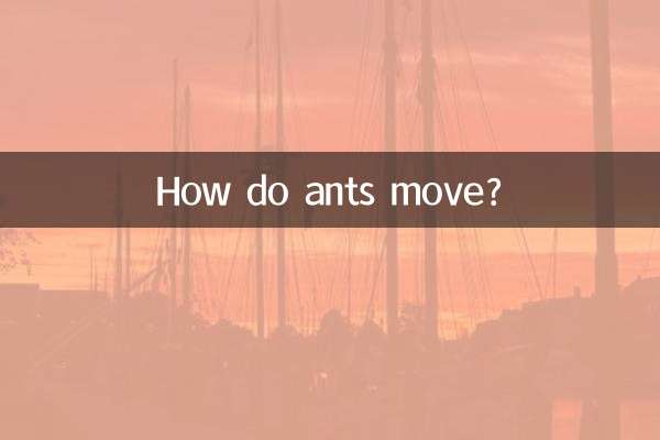 How do ants move?