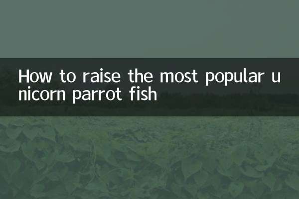 Como criar o peixe-papagaio unicórnio mais popular