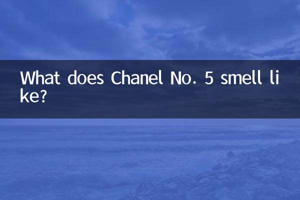 샤넬 No.5 향은 어떤가요?