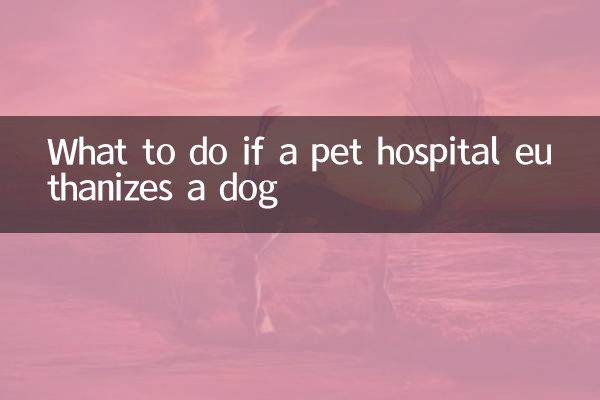 একটি পোষা হাসপাতাল একটি কুকুর euthanizes যদি কি করতে হবে