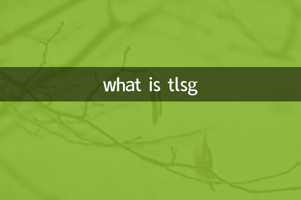 TLSG가 뭐야?