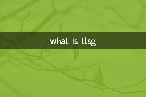 TLSG가 뭐야?