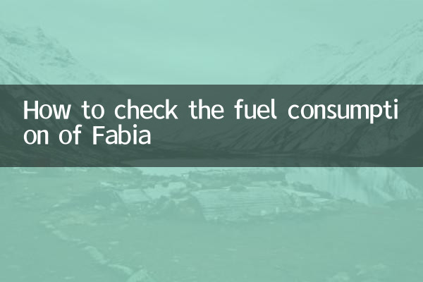 Fabia의 연료 소비량을 확인하는 방법