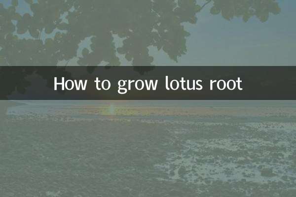 藕怎么种植方法