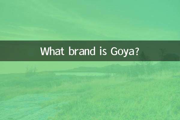 ゴヤってどんなブランド？