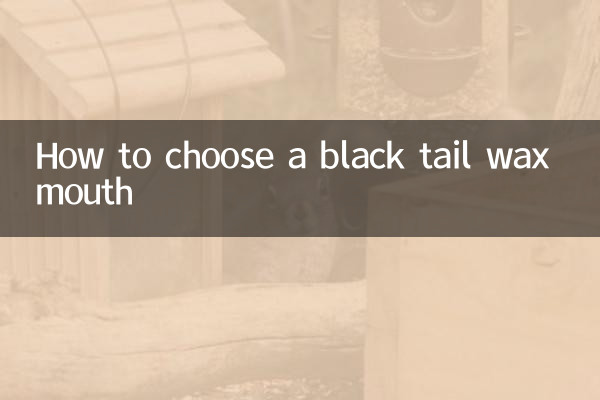 Come scegliere una bocca di cera a coda nera