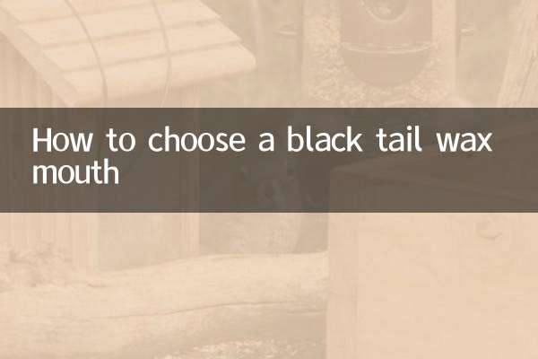 Come scegliere una bocca di cera a coda nera