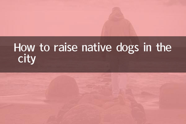 Como criar cães nativos na cidade