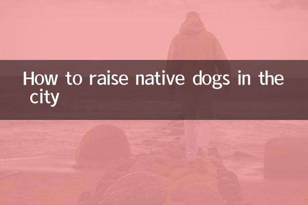 Como criar cães nativos na cidade