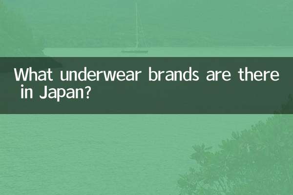 일본에는 어떤 속옷 브랜드가 있나요?