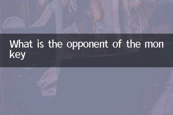 What is the opponent of the monkey