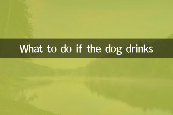 Cosa fare se il cane beve
