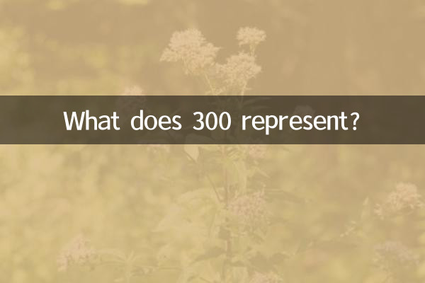300 は何を表しますか?