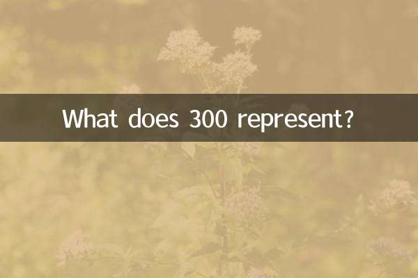300是什麼代表