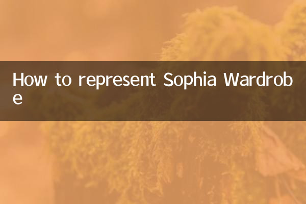 Come rappresentare Sophia Guardaroba