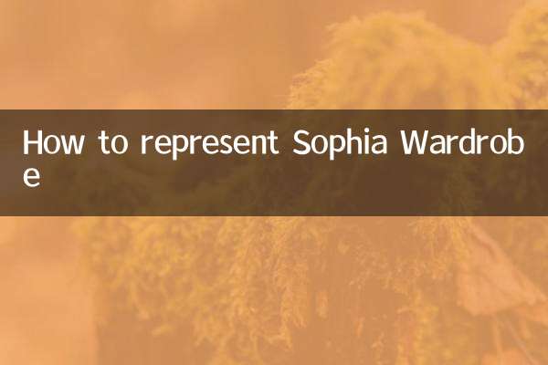 Come rappresentare Sophia Guardaroba