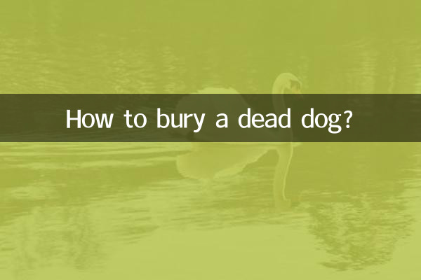 Wie begräbt man einen toten Hund?