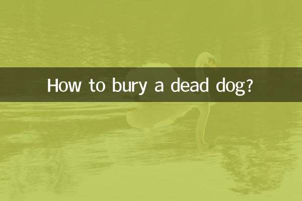 Wie begräbt man einen toten Hund?