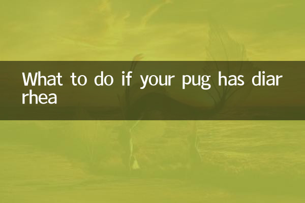 퍼그가 설사를 하면 어떻게 해야 할까요?