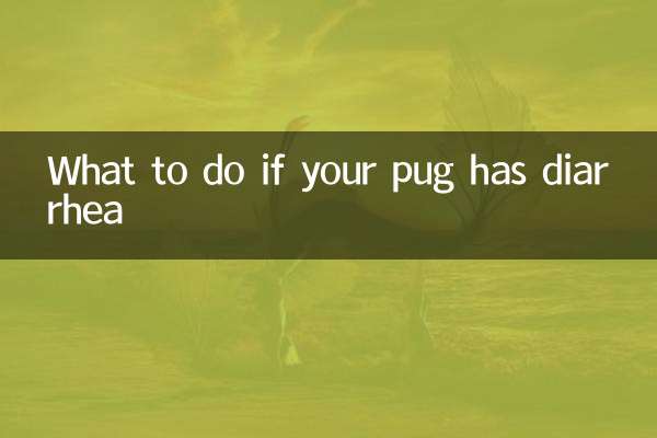 퍼그가 설사를 하면 어떻게 해야 할까요?