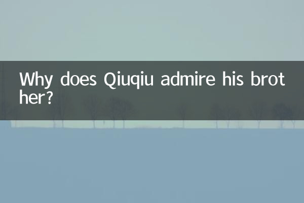 Qiuqiu が兄を尊敬しているのはなぜですか?