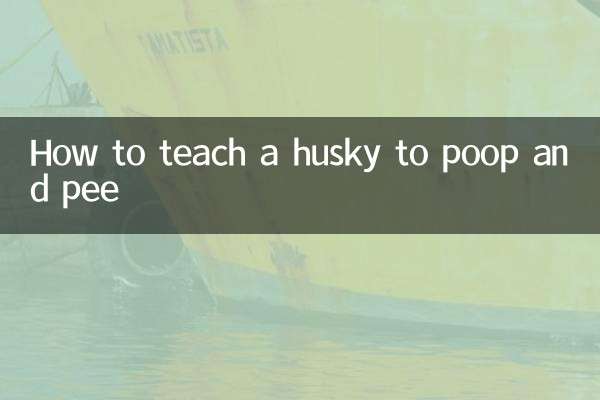 How to teach a husky to poop and pee