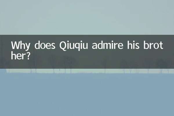 Qiuqiu が兄を尊敬しているのはなぜですか?