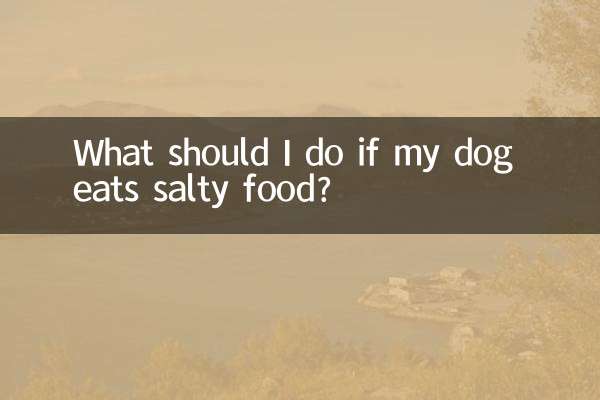 犬が塩辛い食べ物を食べた場合はどうすればよいですか?