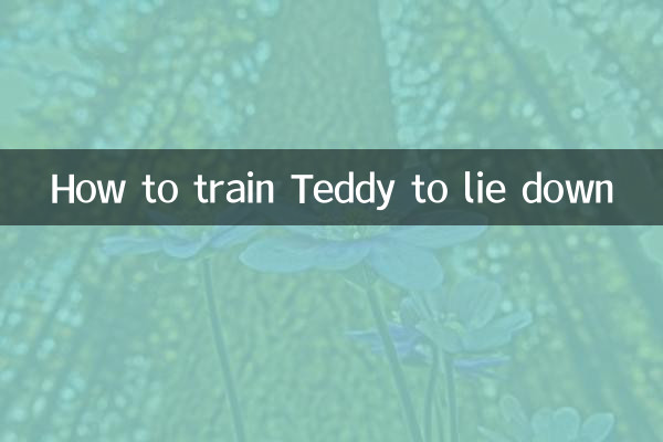 테디가 눕도록 훈련시키는 방법