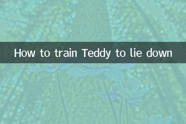 테디가 눕도록 훈련시키는 방법