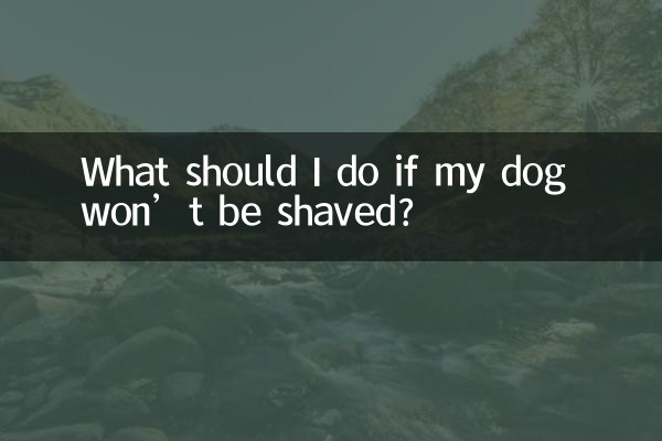 اگر سگم تراشیده نشود چه باید بکنم؟