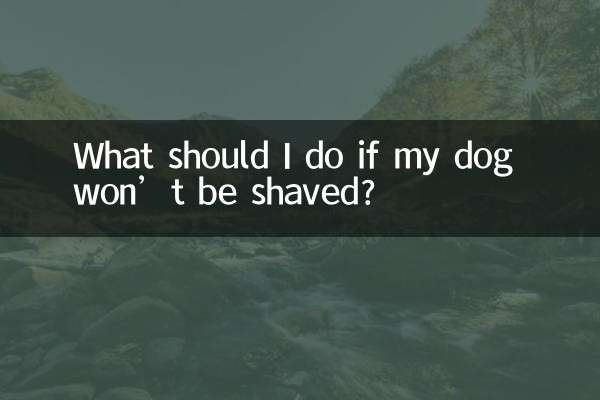 狗不让剃毛怎么办