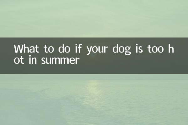 यदि आपका कुत्ता गर्मियों में बहुत गर्म है तो क्या करें?