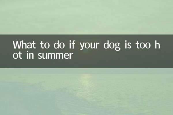 Cosa fare se il vostro cane ha troppo caldo in estate?