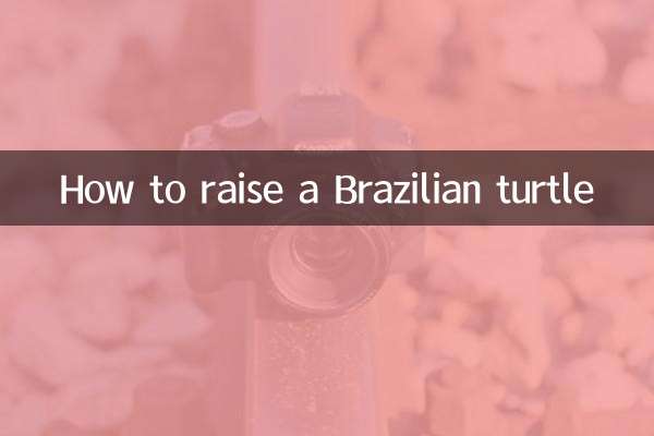 How to raise a Brazilian turtle