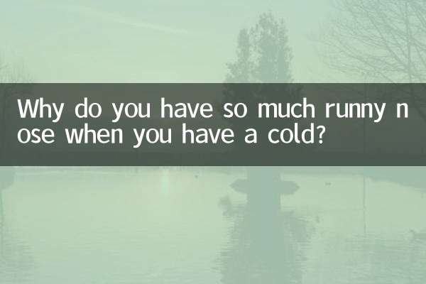 为什么感冒那么多鼻涕