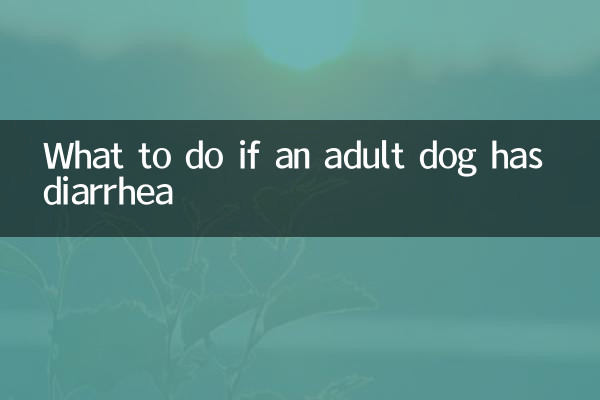 প্রাপ্তবয়স্ক কুকুরের ডায়রিয়া হলে কী করবেন