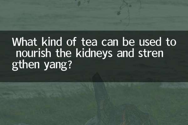 ¿Qué tipo de té se puede utilizar para nutrir los riñones y fortalecer el yang?