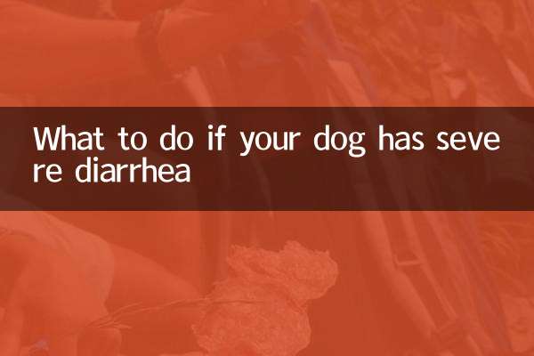 狗狗拉肚子厉害怎么办