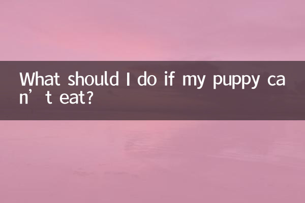 O que devo fazer se meu cachorro não conseguir comer?