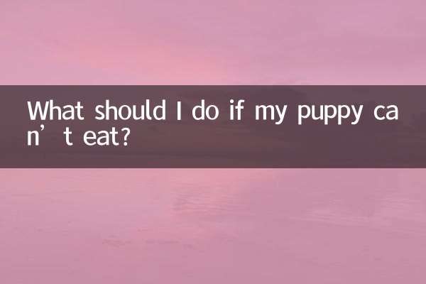 What should I do if my puppy can’t eat?