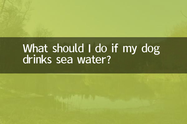 O que devo fazer se meu cachorro beber água do mar?