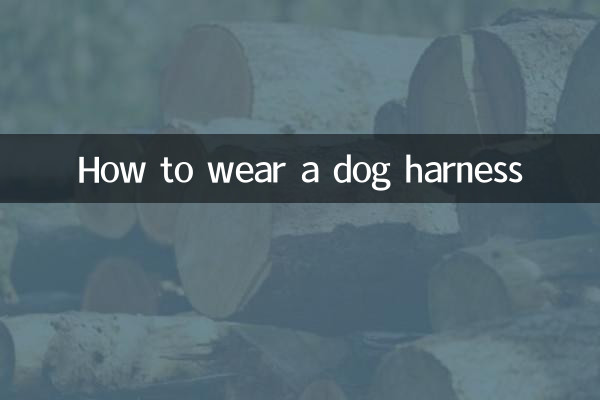 نحوه پوشیدن بند سگ