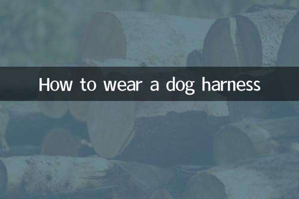 개 하네스 착용 방법