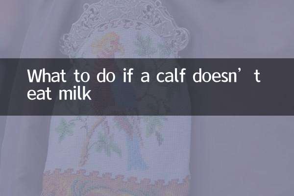 Qué hacer si un ternero no come leche