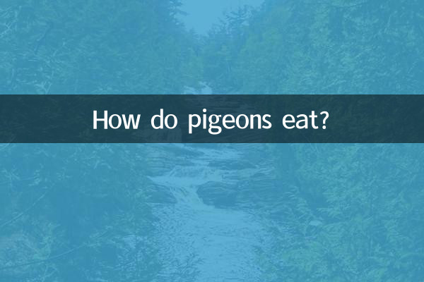 कबूतर कैसे खाते हैं?