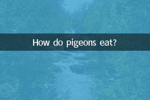 कबूतर कैसे खाते हैं?