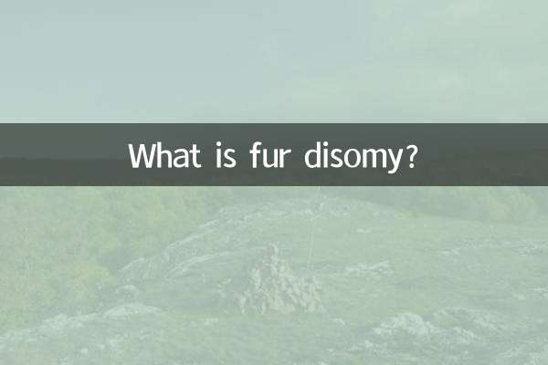 什麼叫皮毛二體