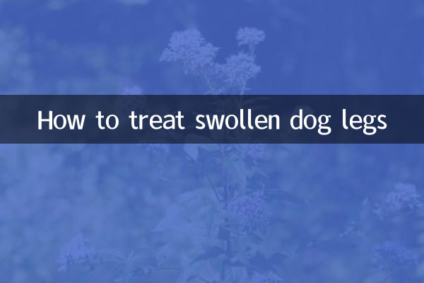 Come trattare le zampe del cane gonfie