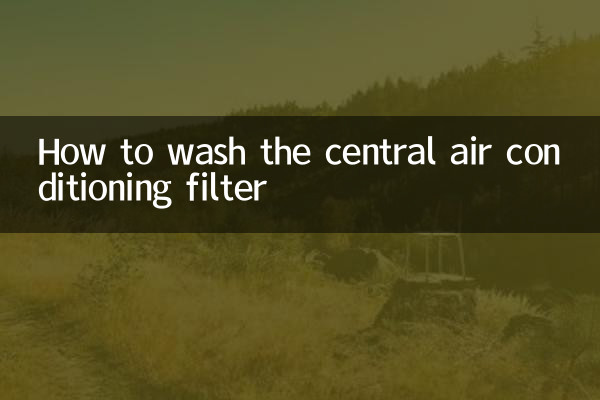 কিভাবে কেন্দ্রীয় এয়ার কন্ডিশনার ফিল্টার ধোয়া
